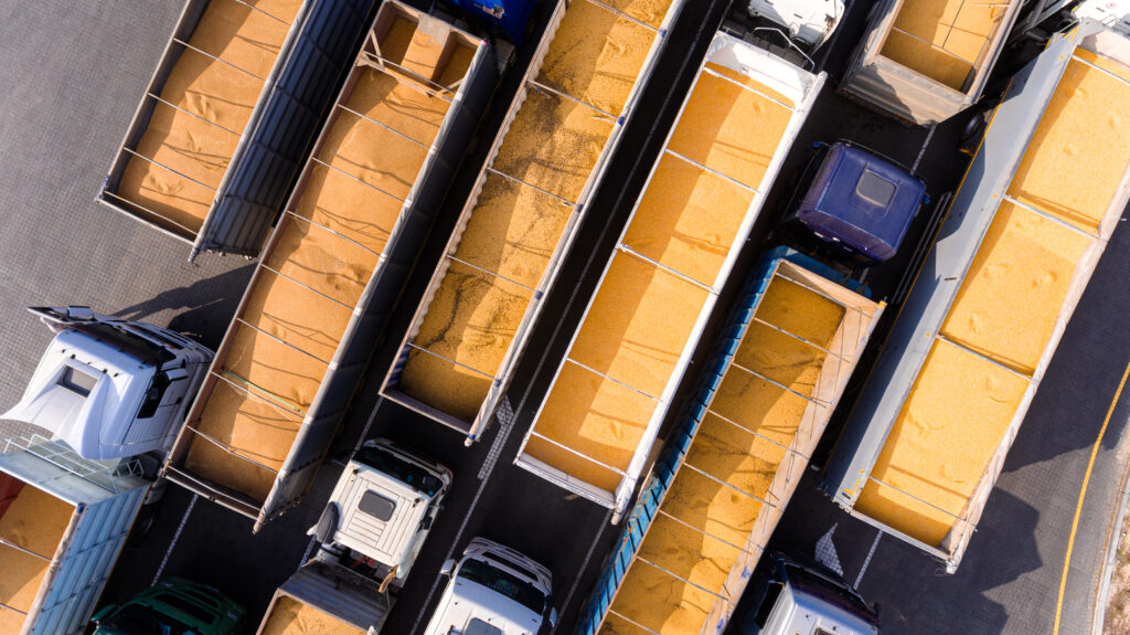 container trucks with golden grains