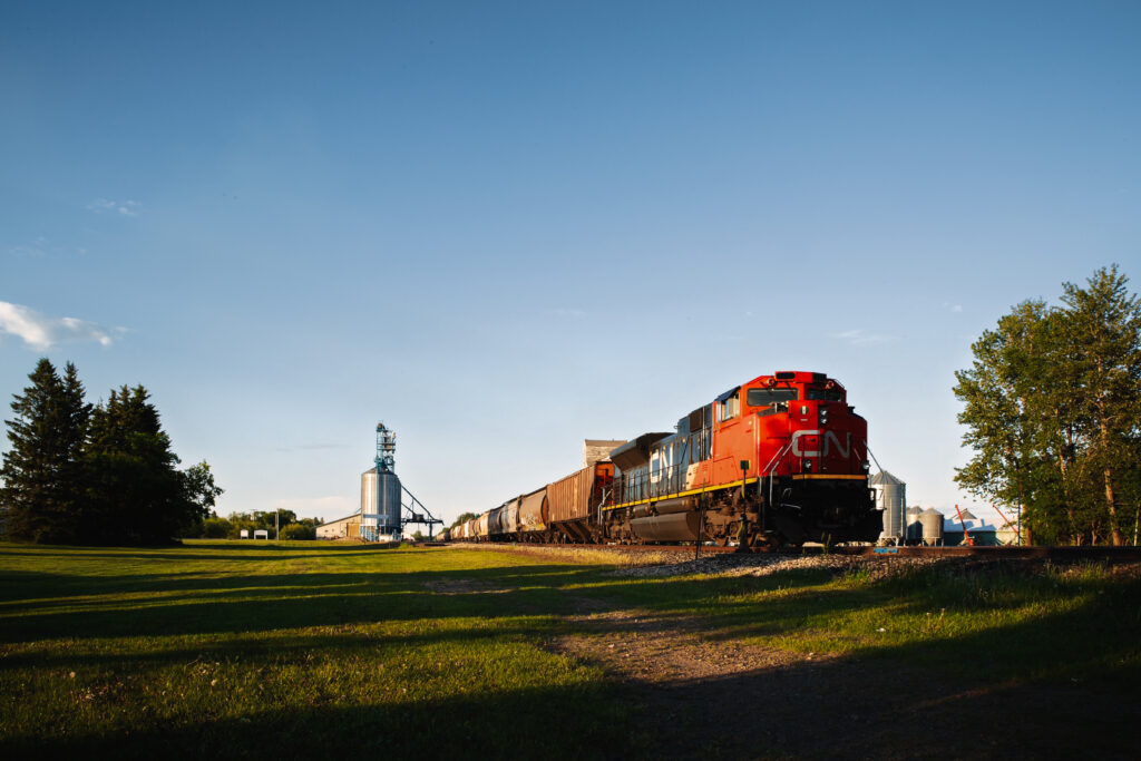 A railway train with attached cabooses at an agriculture grain terminal in a summer evening landscape